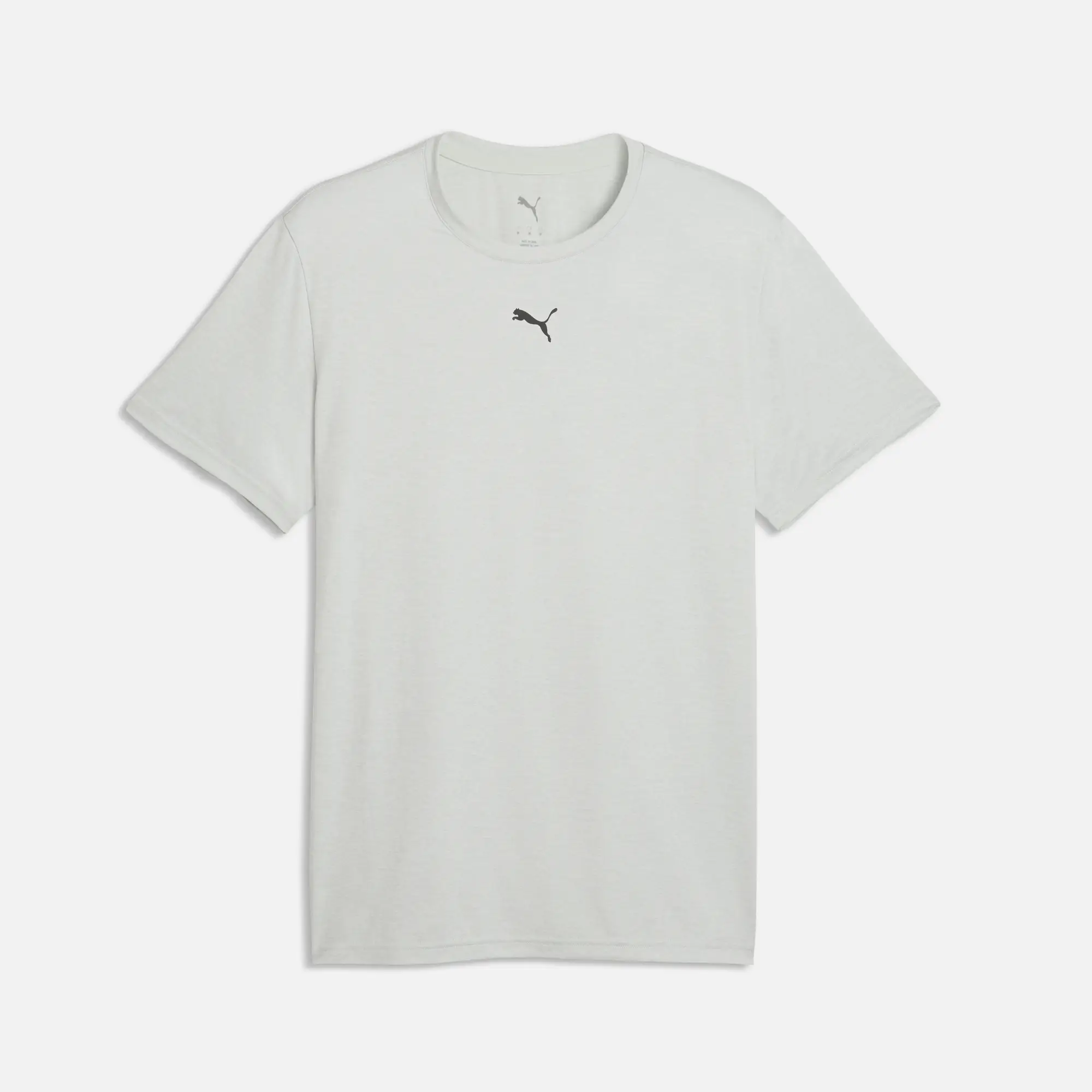 PUMA Men's Train All Day Essentials T-Shirt Créme De Mint Heather